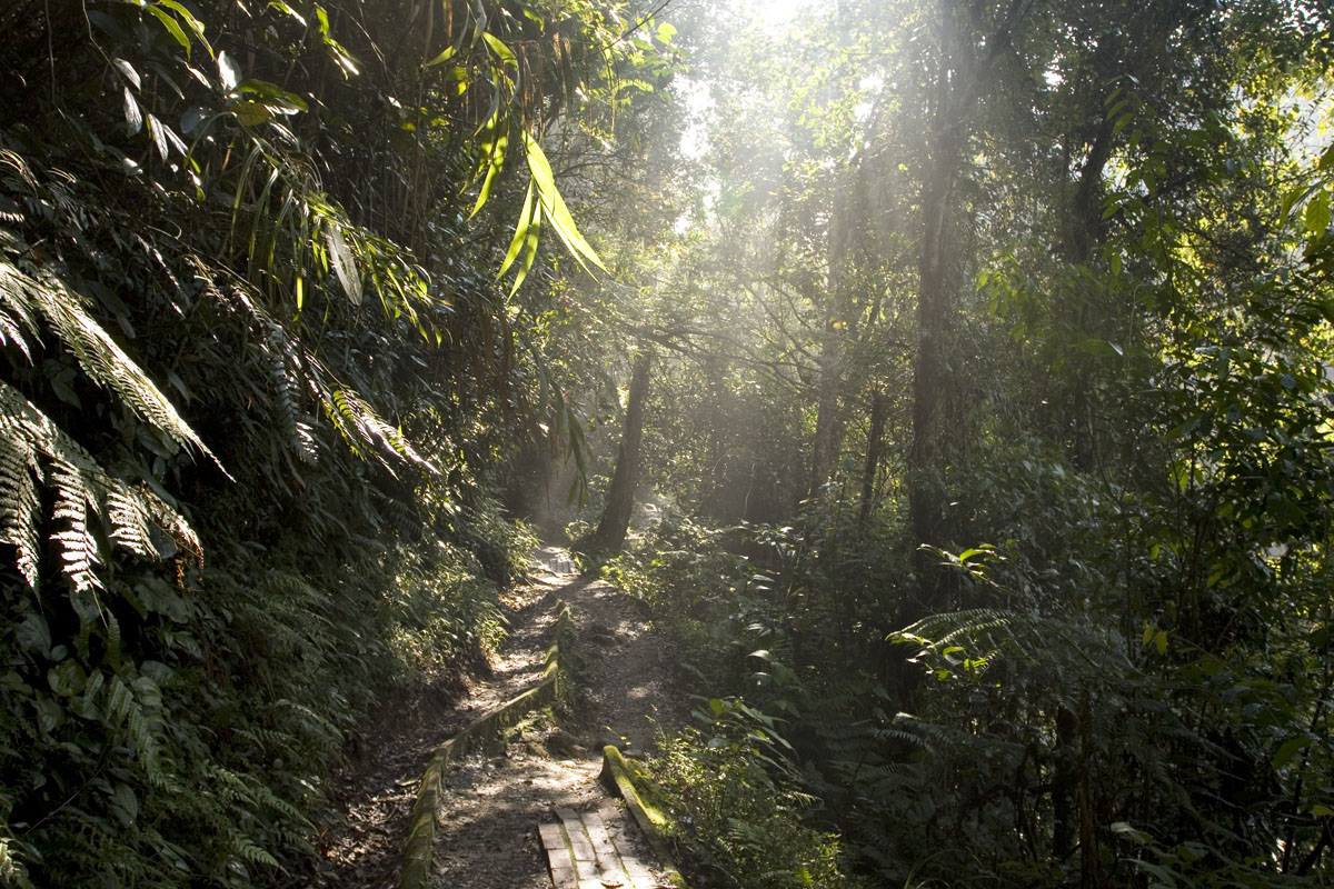 Scenic Hiking Trails